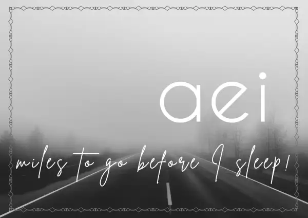 a3